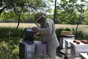 Apiary Inspector Letter: It's Time to Register Your Apiary!